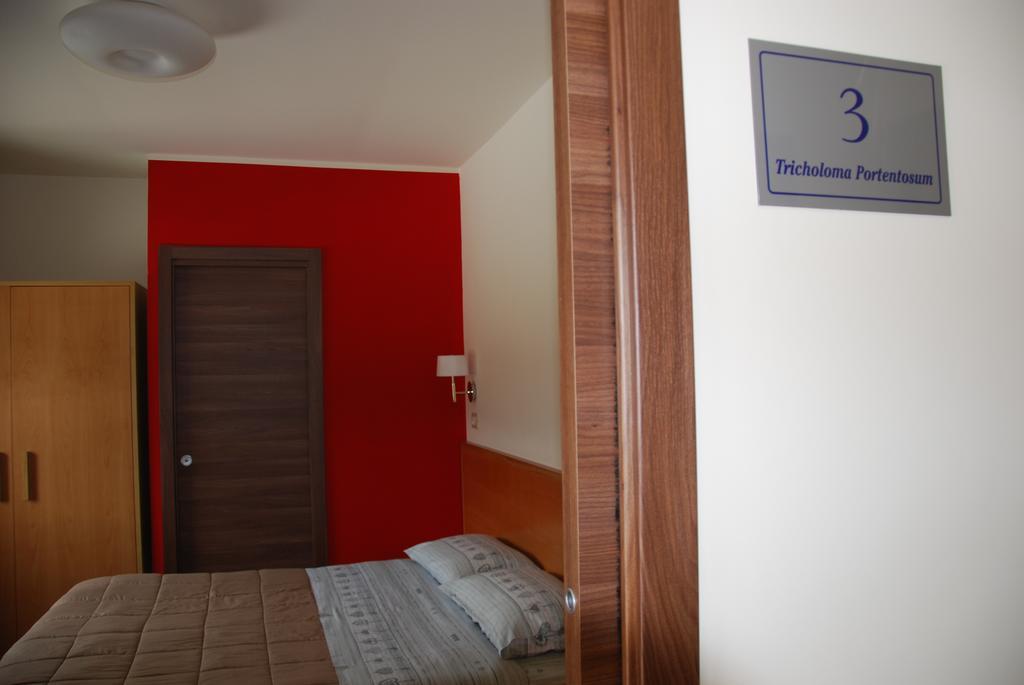 Guest House Caracas Lorica Exteriér fotografie